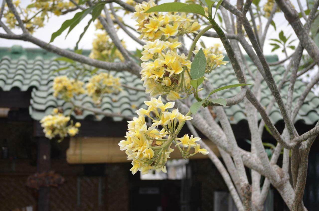 Villa Yukie Senggigi Montongbuwoh المظهر الخارجي الصورة